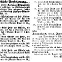 1874-08-16 Kl Versteigerung Eschenbach